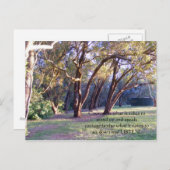 勇気は立つために…取るものにです ポストカード (正面/裏面)