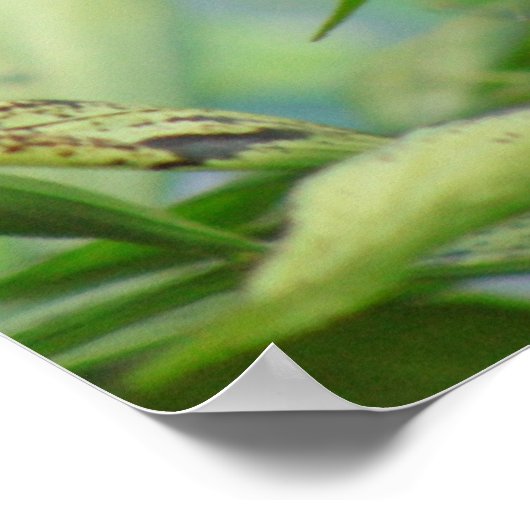 勇気バイブル・バース・感動的バタフライ・ポスター ポスター (角)