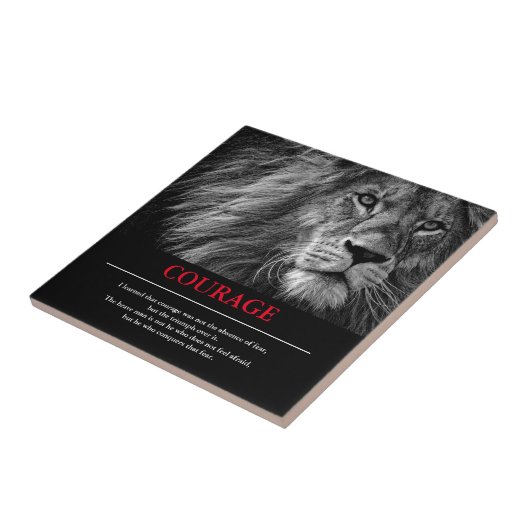 勇気リオンやる気を起こさせる感動的 タイル (側面)