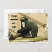 勇気付けられるはがき(サル付き) ポストカード (正面/裏面)