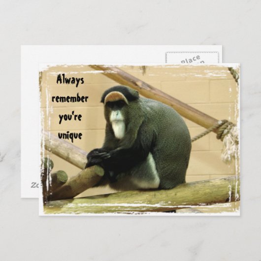 勇気付けられるはがき(サル付き) ポストカード (正面/裏面)