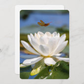 勇気付けられるカード:泥なし、蓮なし (正面/裏面)