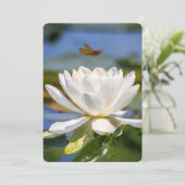 勇気付けられるカード:泥なし、蓮なし (スタンド正面)