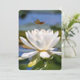 勇気付けられるカード:泥なし、蓮なし