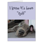 勇気付けられる/かわいい大きなダーンドッグ (正面)