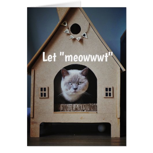 勇気付けられる/かわいい猫を探し出す (正面)