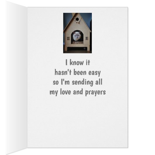 勇気付けられる/かわいい猫を探し出す (内側 (右))