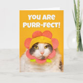 勇気付けられる・カワイトな猫とフラワーハットのユーモア シーズンカード (正面)