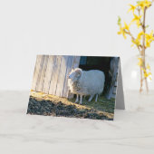 勇気付けられる、太陽の下にかわいいファームシーン カード (黄色い花)