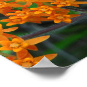 勇気付けられる、希望と未来の蝶 ポスター (角)