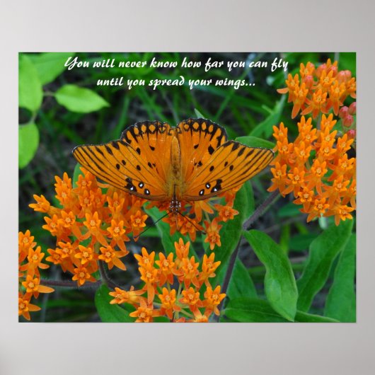 勇気付けられる、希望と未来の蝶 ポスター (正面)