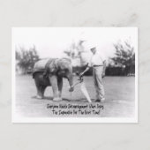 勇気付けられる – 象遊のゴルフ ポストカード (正面)