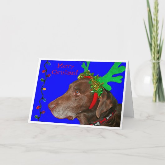 勇気20103のメリークリスマス! シーズンカード (正面)