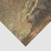 勉強のシダbyメアリー・ジョセフィン・ウォルターズ 薄葉紙 (詳細)