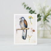 勉強のレッサーケストレルと花，アルカンボルド ポストカード (スタンド正面)