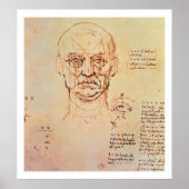 勉強の顔と目の比率, 14 ポスター (正面)