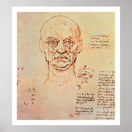 勉強の顔と目の比率, 14 ポスター (正面)