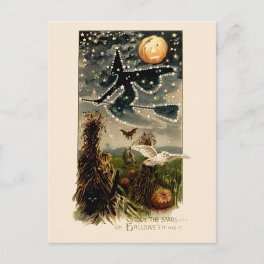 勉強ザスターズオンハロウィーンの夜 – ポストカード (正面)