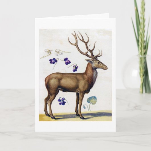 勉強シカと花アルカンボルド カード (正面)