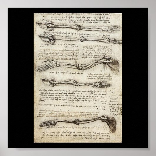 勉強ズ・オブ・アーム(レオナルド・ダ・ヴィンチc)1510 ポスター (正面)