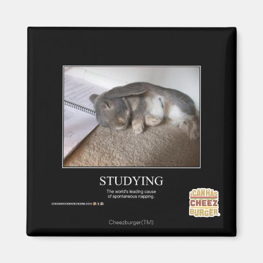 勉強中 マグネット (正面)