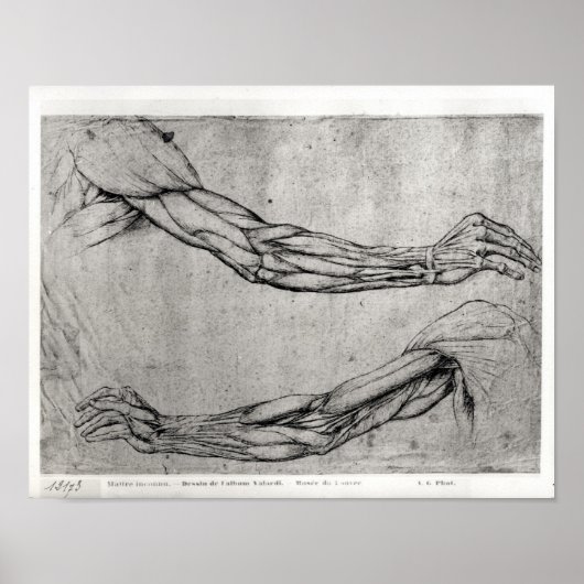 勉強 ポスター (正面)