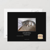 勉強 ポストカード (正面/裏面)