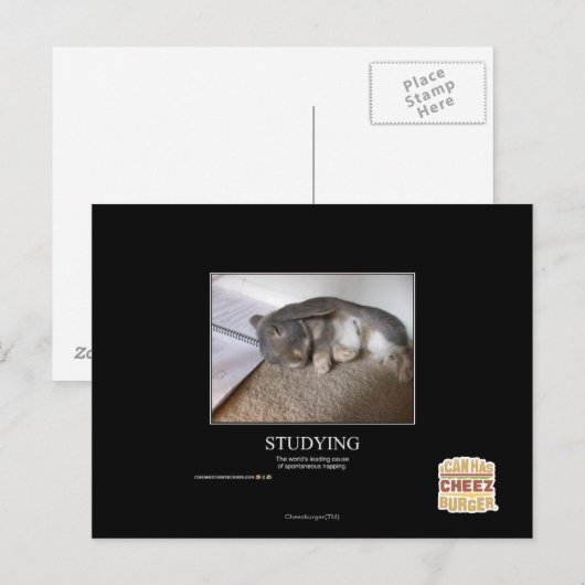 勉強 ポストカード (正面/裏面)