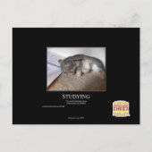 勉強 ポストカード (正面)