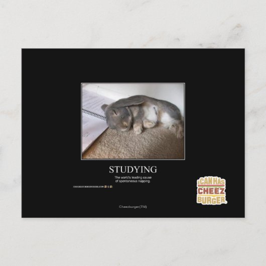 勉強 ポストカード (正面)