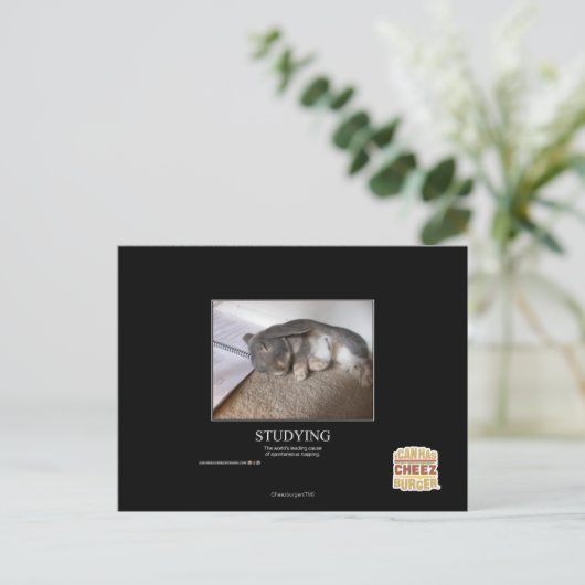 勉強 ポストカード (スタンド正面)