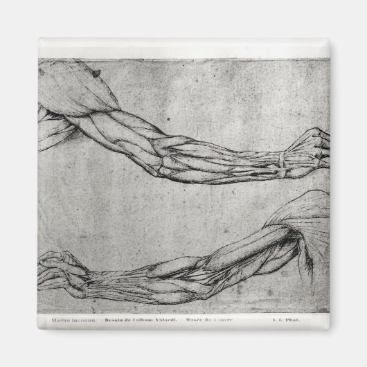 勉強 マグネット (正面)