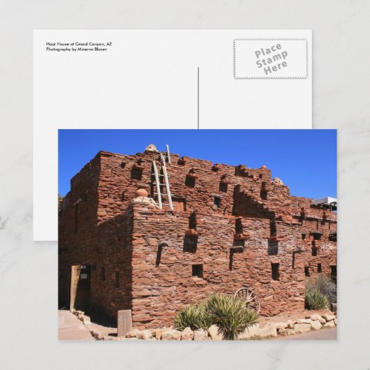 動いた！ 案内ポストカード (正面/裏面)