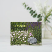 動いた！ 案内ポストカード (スタンド正面)