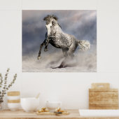 動いているアンダルシアのリンゴ灰色の馬 ポスター (キッチン)