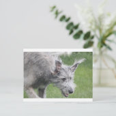 動いている耳 ポストカード (スタンド正面)