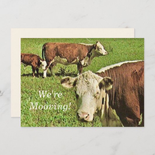 動いてる！発表 (正面/裏面)