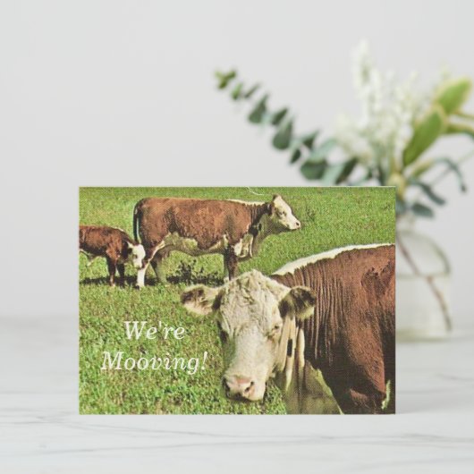 動いてる！発表 (スタンド正面)