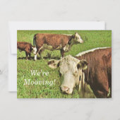 動いてる！発表 (正面)