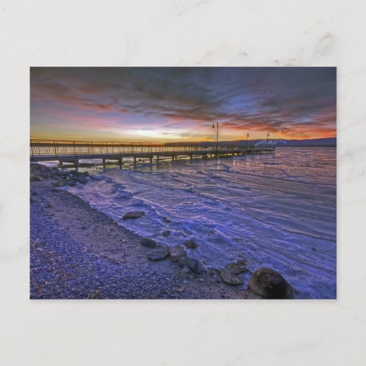 動かない感情 ポストカード (正面)