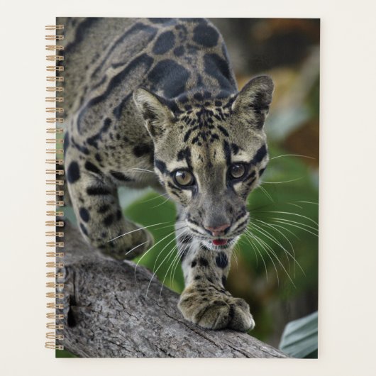 『動きに白いヒョウ』 プランナー手帳 (正面)