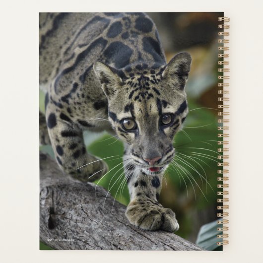 『動きに白いヒョウ』 プランナー手帳 (裏面)