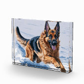 動きの優雅さ：水のそばのアルザス人 フォトブロック (右)