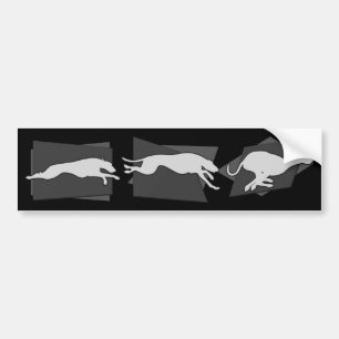 動きのSighthounds バンパーステッカー