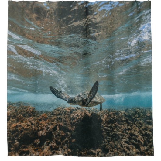 動き出したカメ シャワーカーテン (正面)