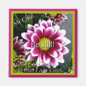 動くな！ マグネット (正面)