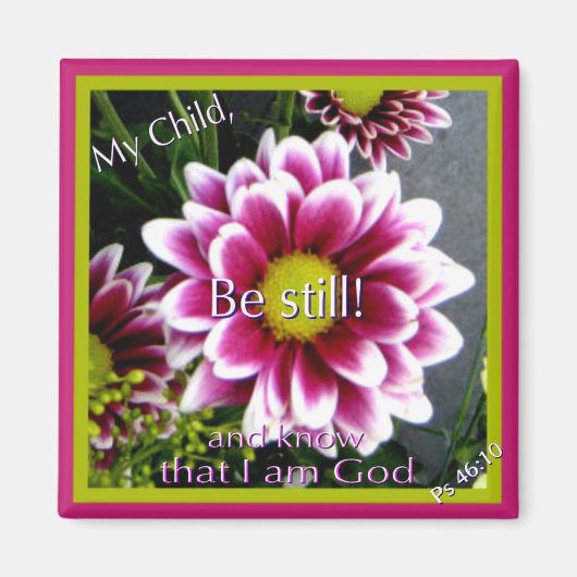 動くな！ マグネット (正面)