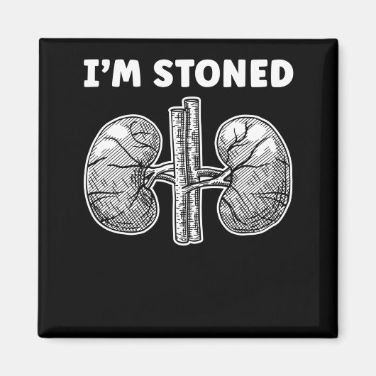 動揺しておもしろい腎結石手術 マグネット (正面)