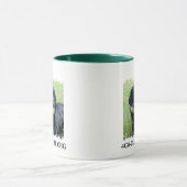 動揺してなボーダーはマグ信号器の2味方しました マグカップ (中央)