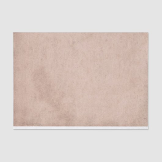 動揺してバラバフピンクヴィンテージ紙 薄葉紙 (正面)